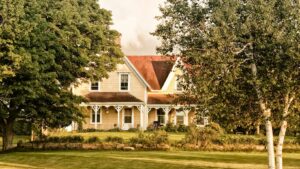 Read more about the article Discover Orchlen’s Farm and Home: Your Go-To Destination for Quality and Sustainability